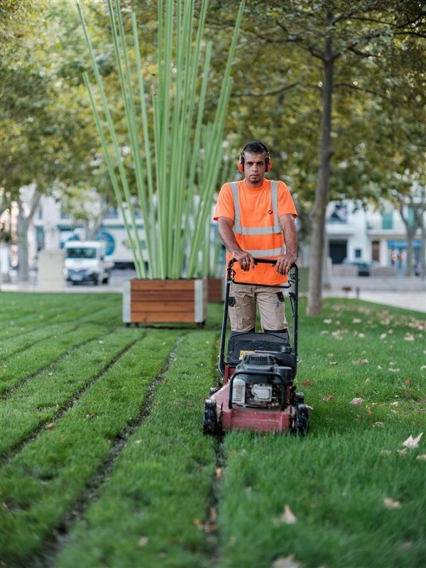 Entretien des pelouses